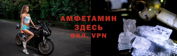 гашик Гусев