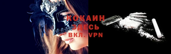 гашик Гусев
