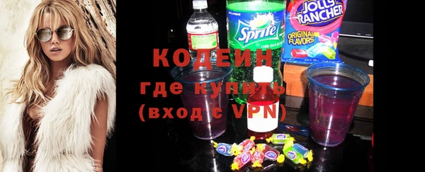 гашик Гусев