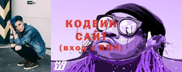 гашик Гусев