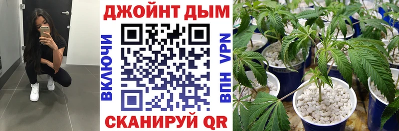 omg зеркало  Игарка  Шишки марихуана индика 